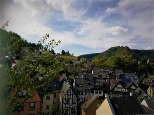 فندق Zum Froehlichen Weinberg كوتشيم المظهر الخارجي الصورة